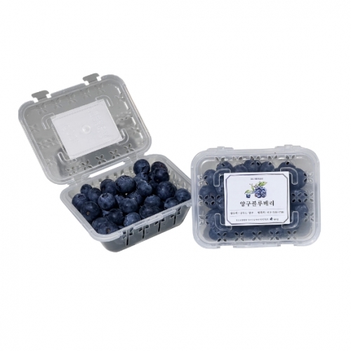 양구블루베리100g/250g